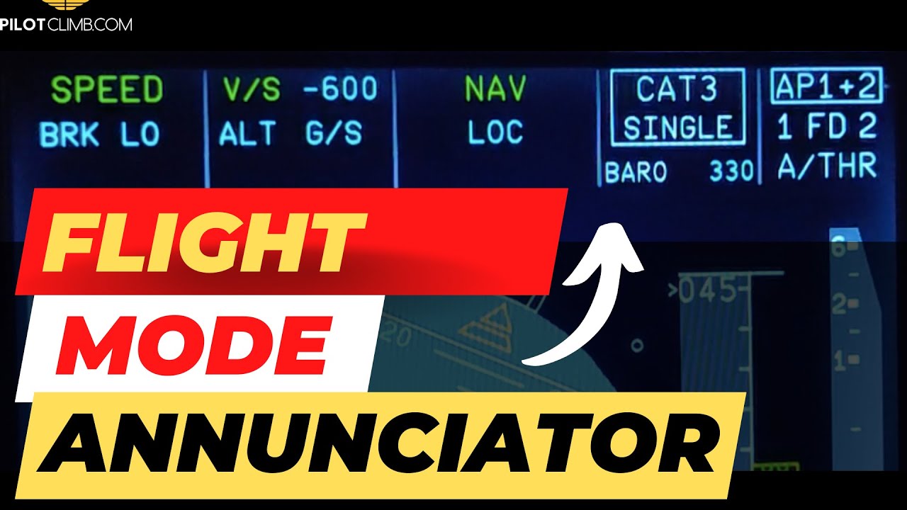 Airline Pilots Monitor this constantly during Flight. FMA - Flight Mode Annunciator