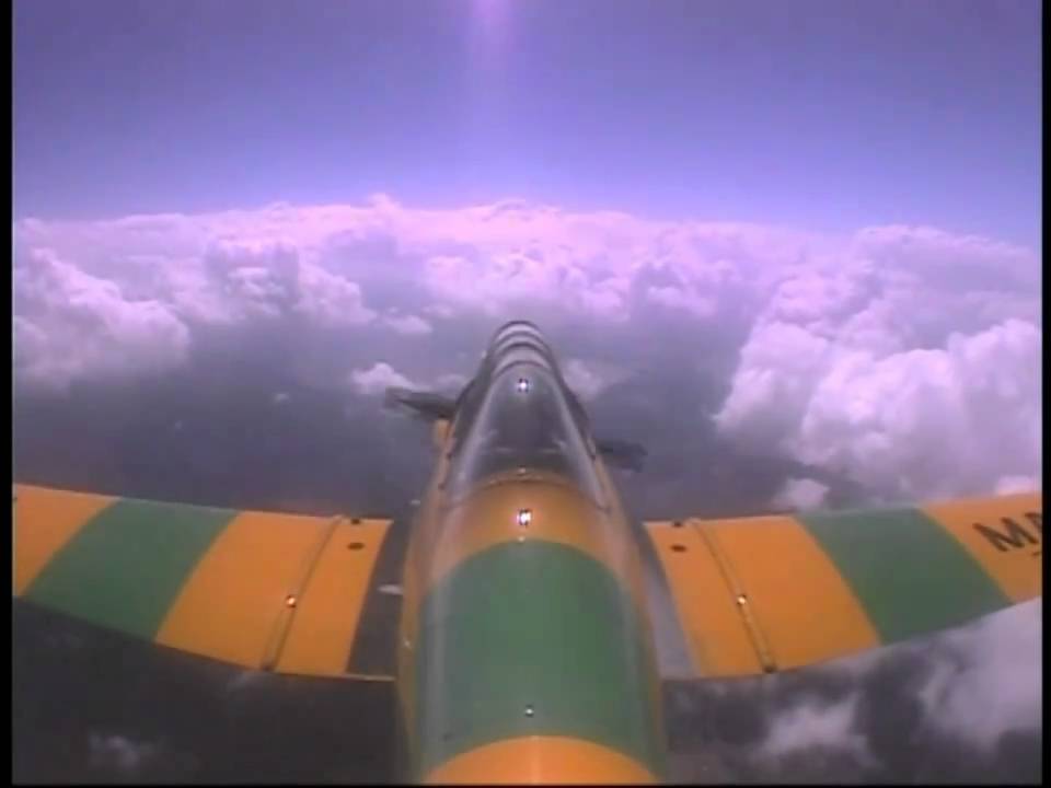 Warbird Adventures Immelmann