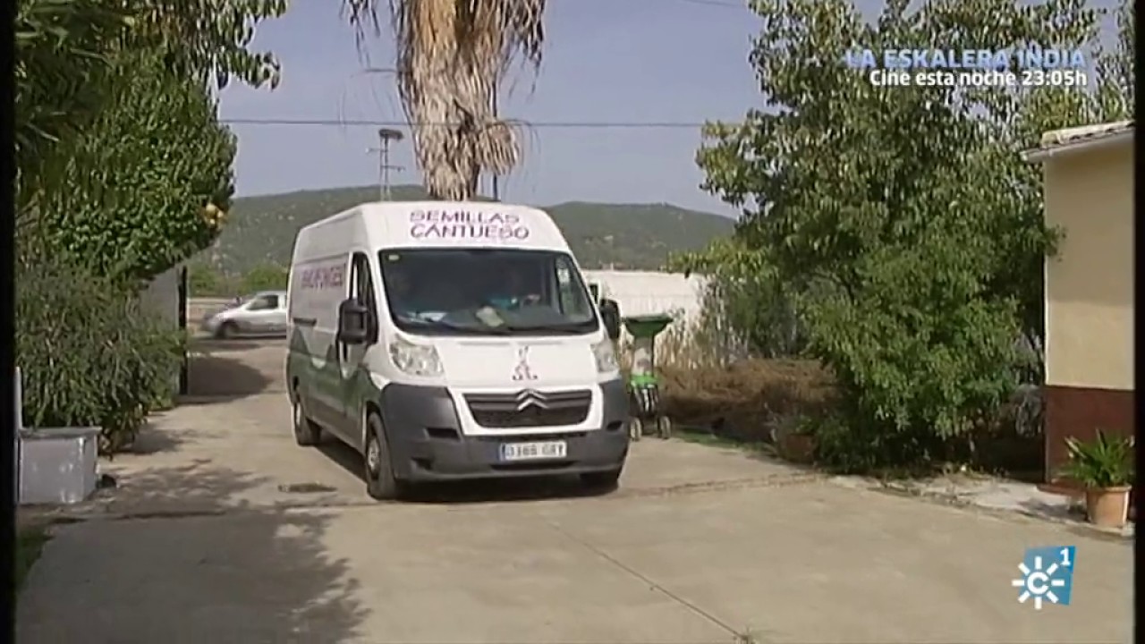 Reportaje de Semillas Cantueso en Tierra y Mar (Canal Sur)