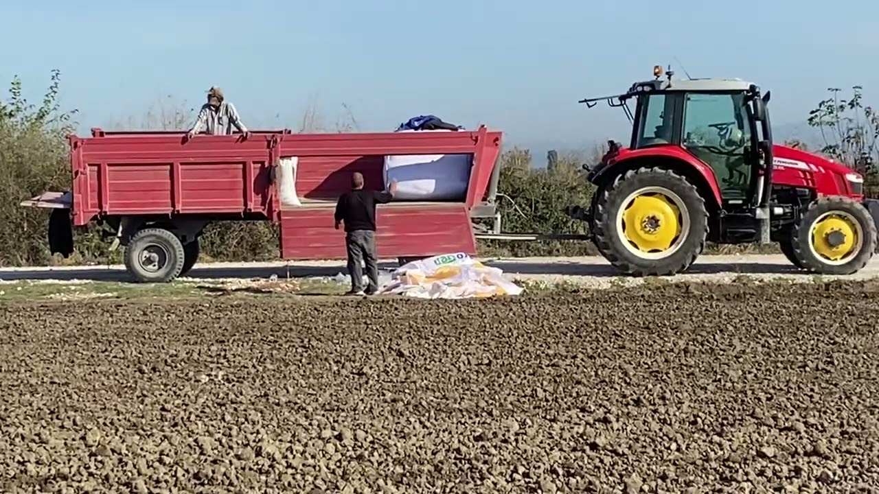 CASEİH CX90 Bozkurt mibzer ile Beyazhan Bığday ekimi