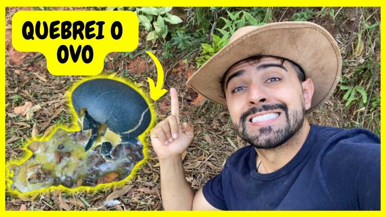 Quebrando Ovos de Emu Australiano que estava Chocando Será que Tinha Filhote? | Gutejando