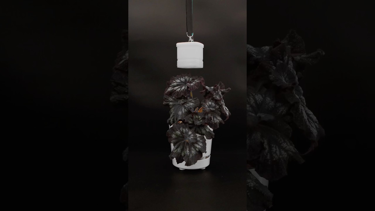 #IoT device to remotely monitor your indoor plants. learn.adafruit.com/no-code-indoor-grow-monitor