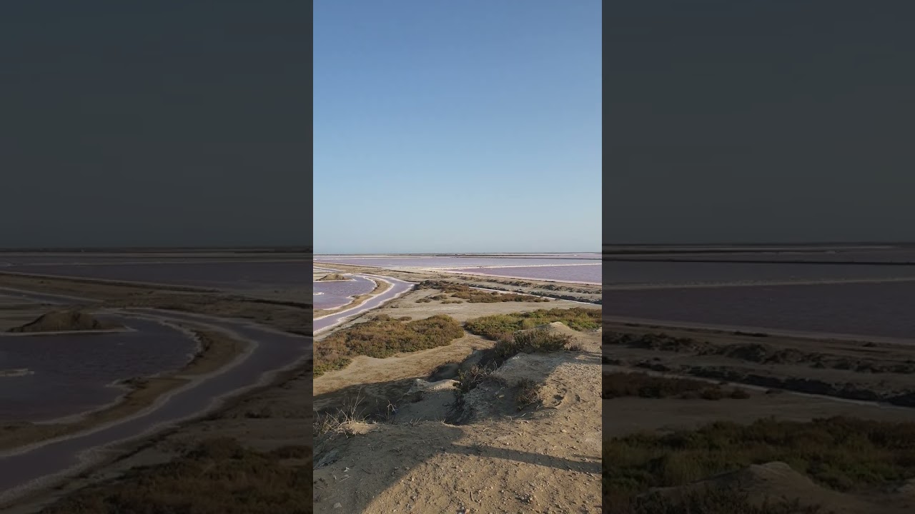 Salin du Giraud France #Shorts