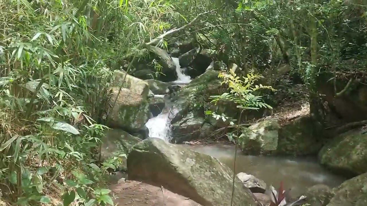 Saida para Costa da Lagoa - Florianópolis dezembro 2025