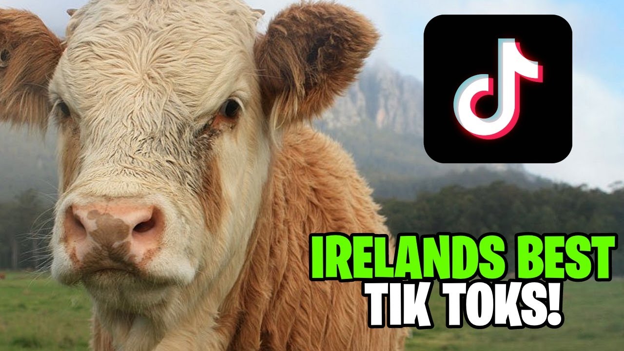 Irish Tik Tok Memes
