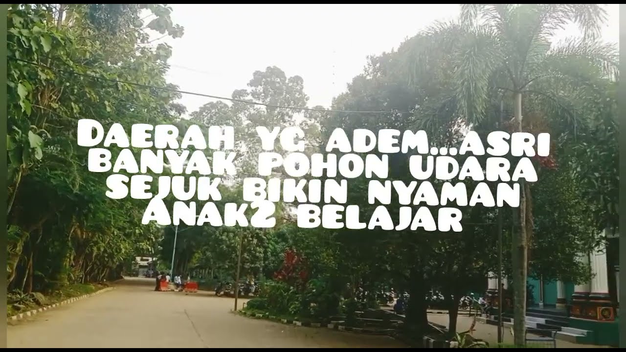 Review pondok pesantren modern Bani Tamim /Vemri mondok/kegiatan pondok