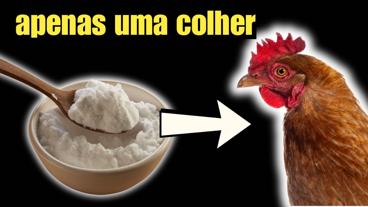 Basta um pouquinho e ADEUS DOEN&Ccedil;AS! ( comprovado )