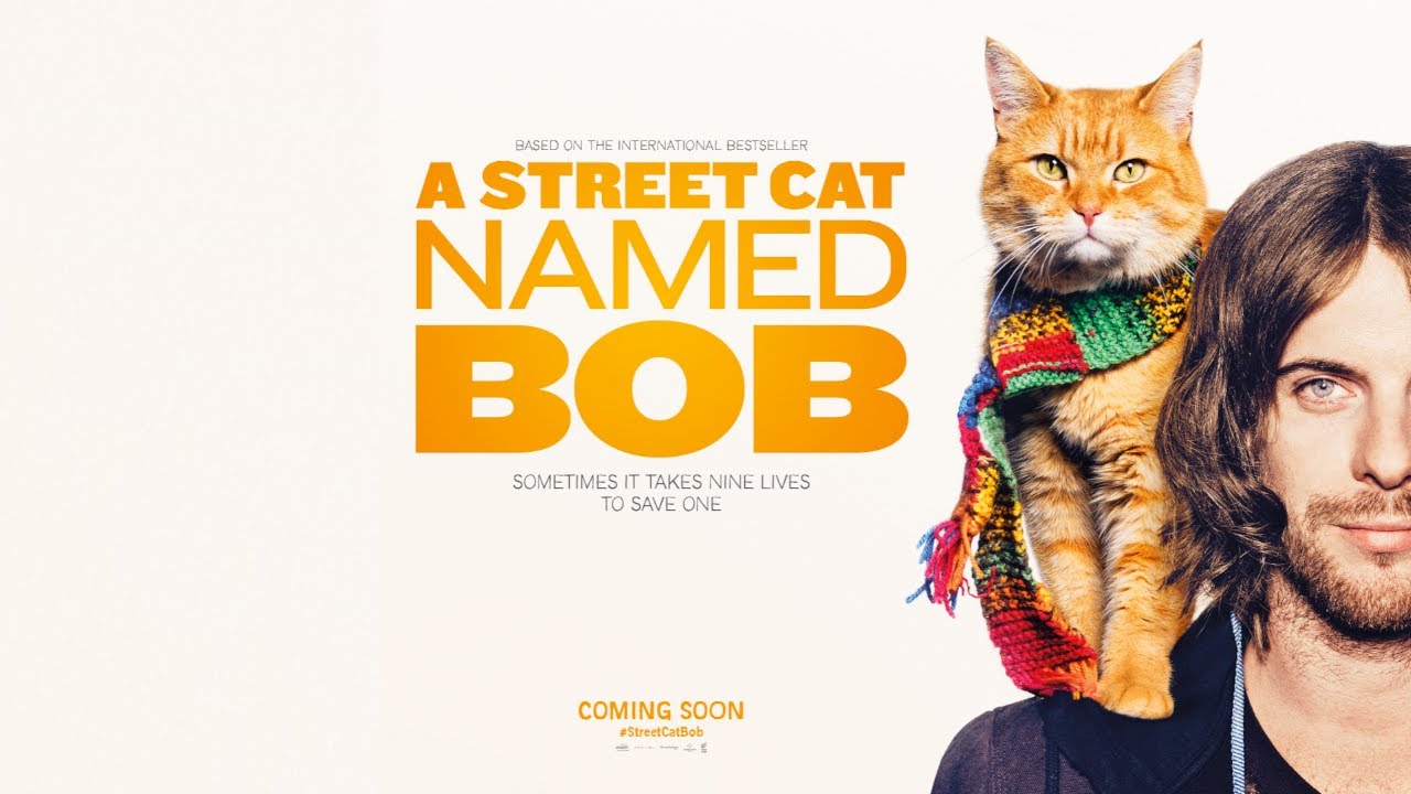 Um Gato de Rua Chamado Bob clipe (4K)