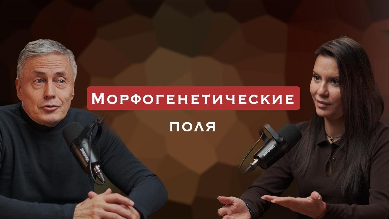 Морфогенетические поля.