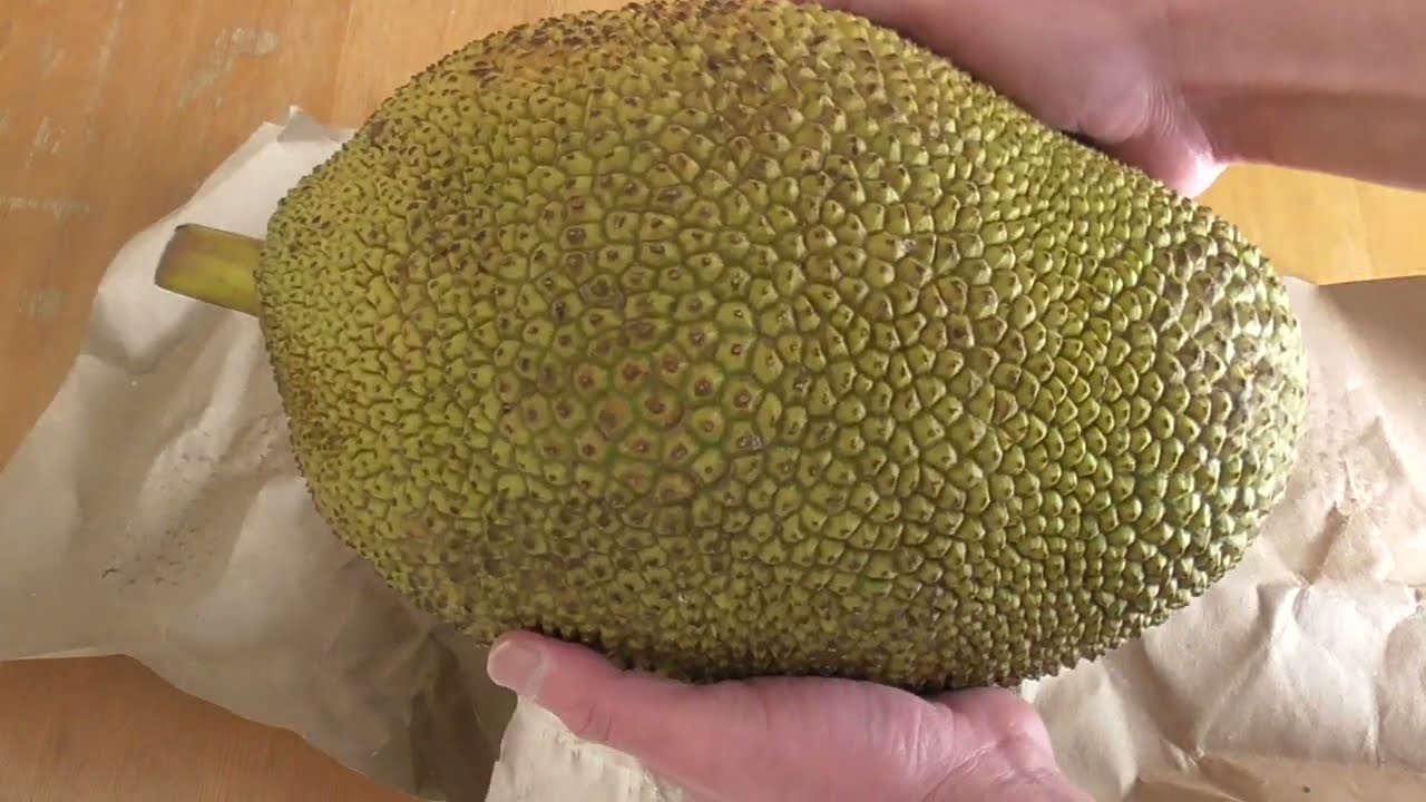 【レアフルーツ】ジャックフルーツを食べてみた1.解体と生食編