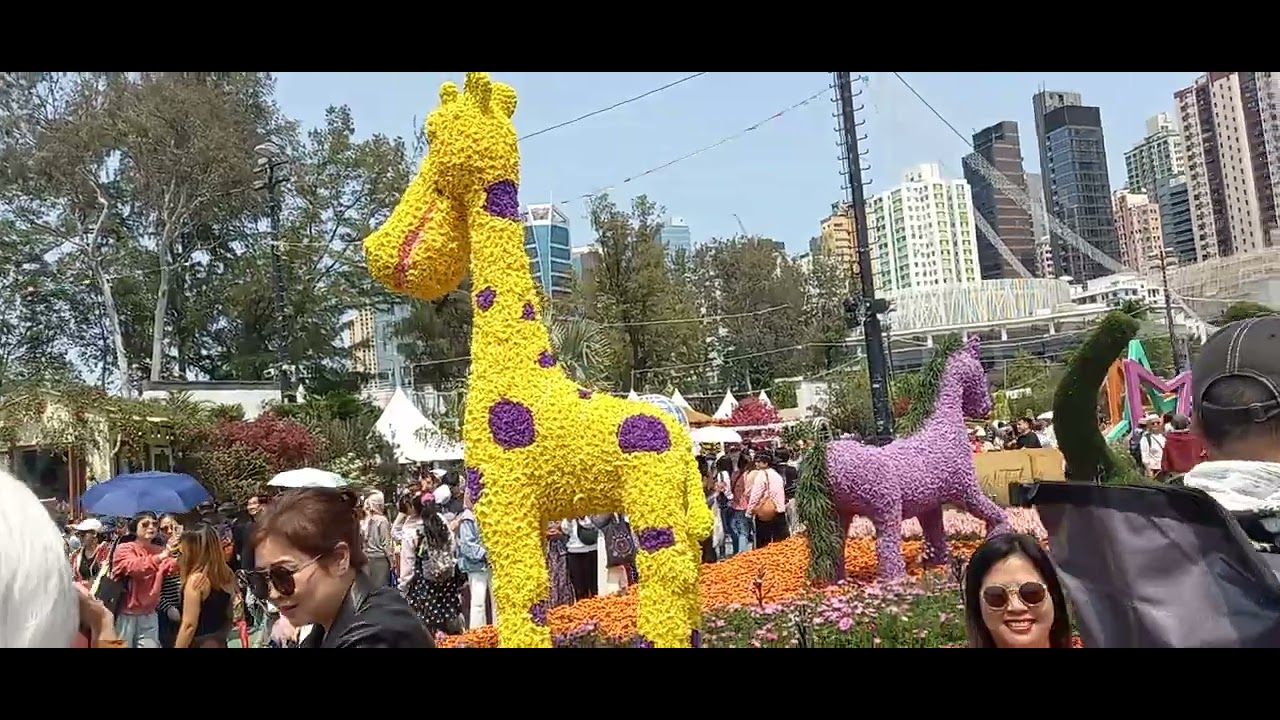 March 2025 HONGKONG FLOWER SHOW #MUKTI