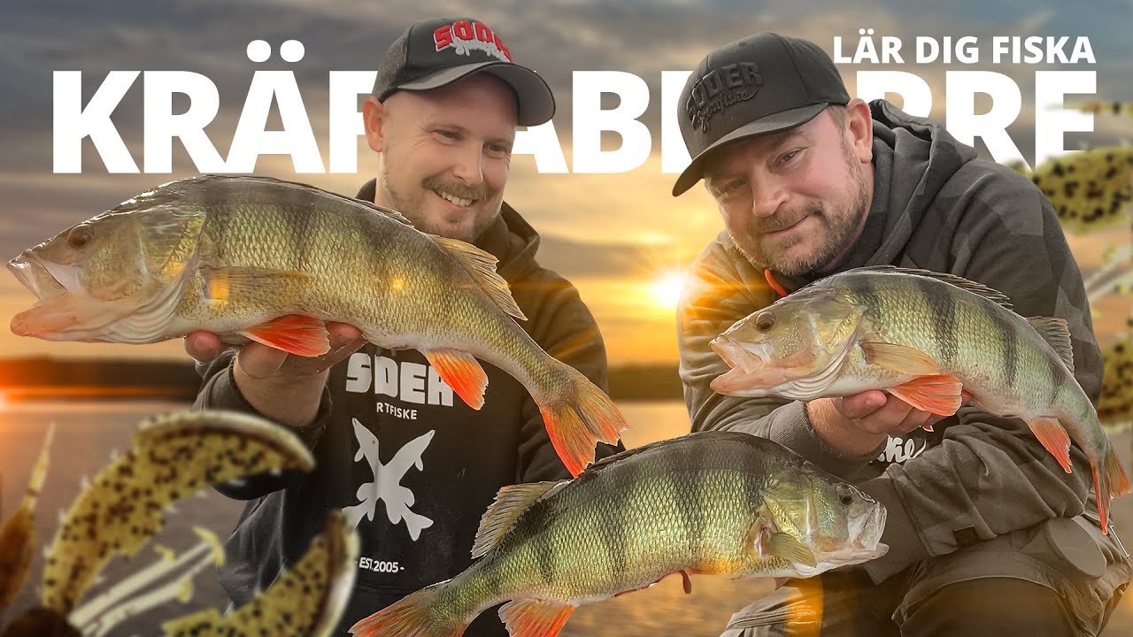 Lär dig fiska kräftabborre | 🐷😍 Söder Sportfiske