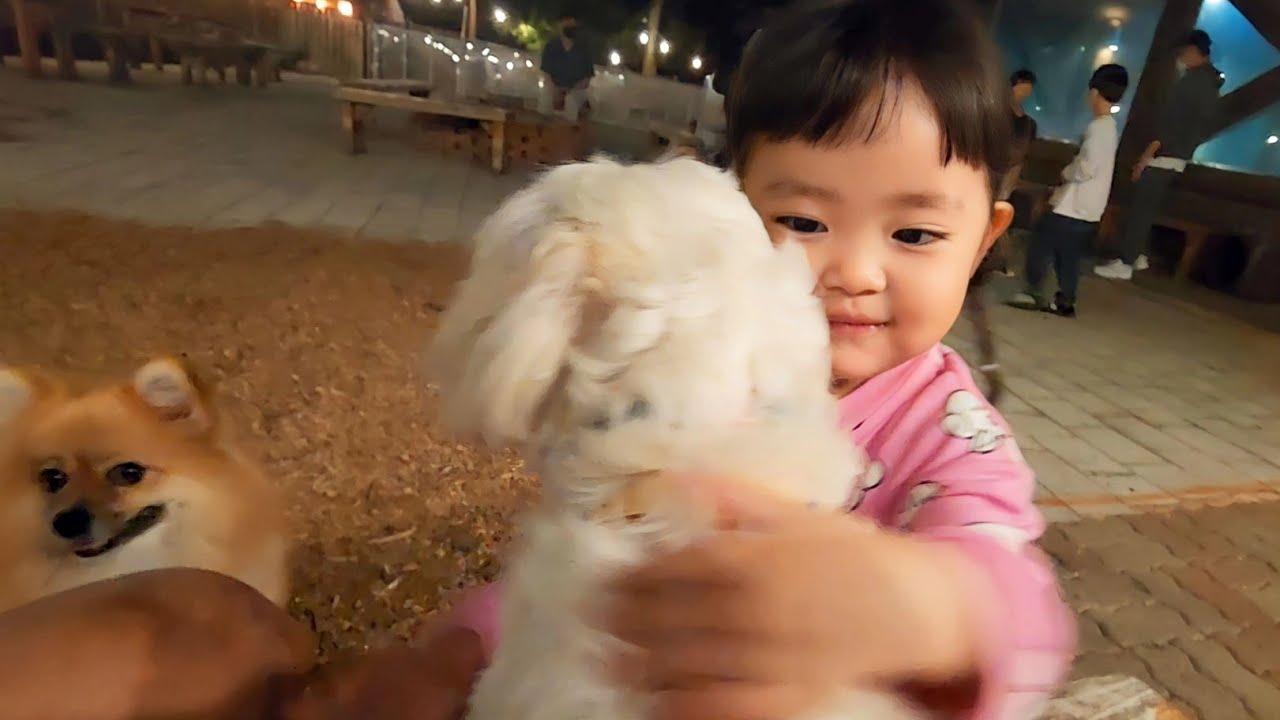 [SUB] Почему RUDA предпочитает собак кошкам? 🐶🔥🐱