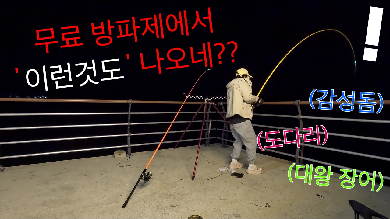이게 다 무료 방파제에서? 72시간 차박 낚시에 감성돔, 대왕 장어까지 다 잡히네!! 도다리는 보너스~