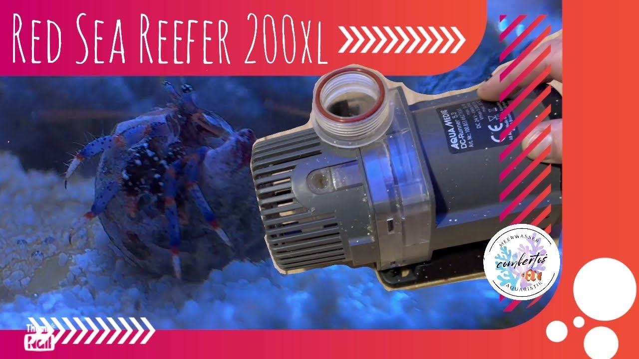 Red Sea Reefer 200XL - Putzercrew & RFP