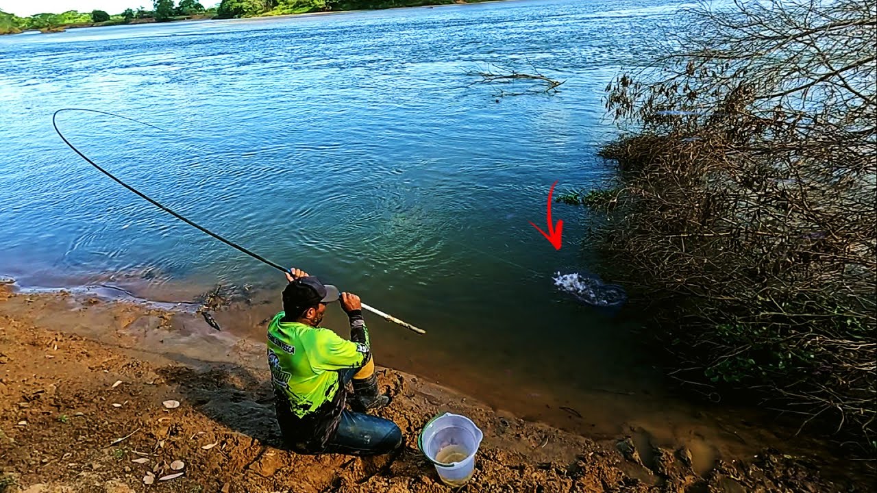 PESCA DE BARRANCO COM LAMBAR,I NUNCA PEGUEI TANTO ROBALO E TUCUNARE NA VARINHA DE MÃO.