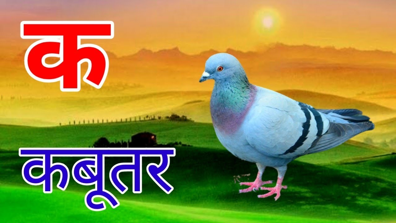 अ से अनार, क से कबूतर, ख से खरगोश | Hindi ABCD | Kids Learning Video