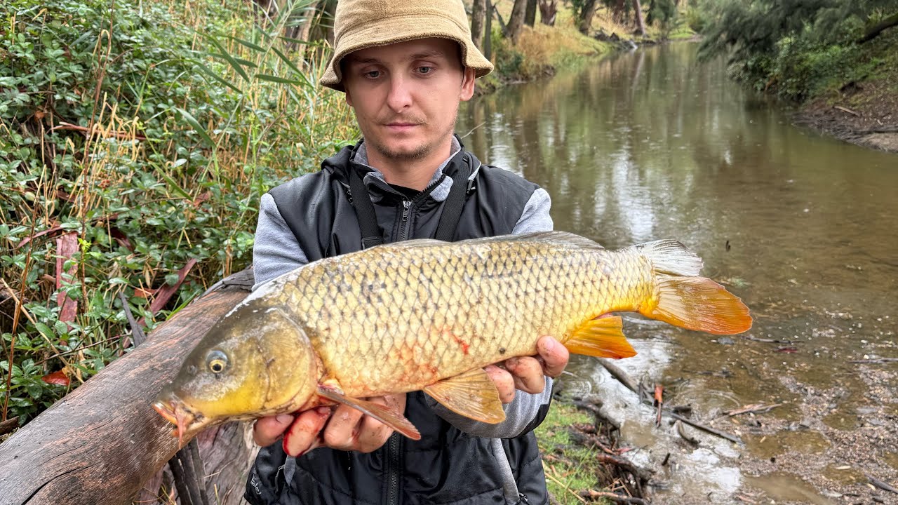 Freshwater fishing for Murray Cod and Carp | First ever YTVID |