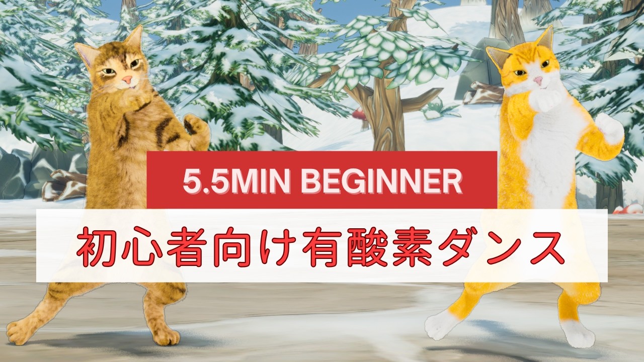 かんたん安心！初心者向け有酸素ダンス😸