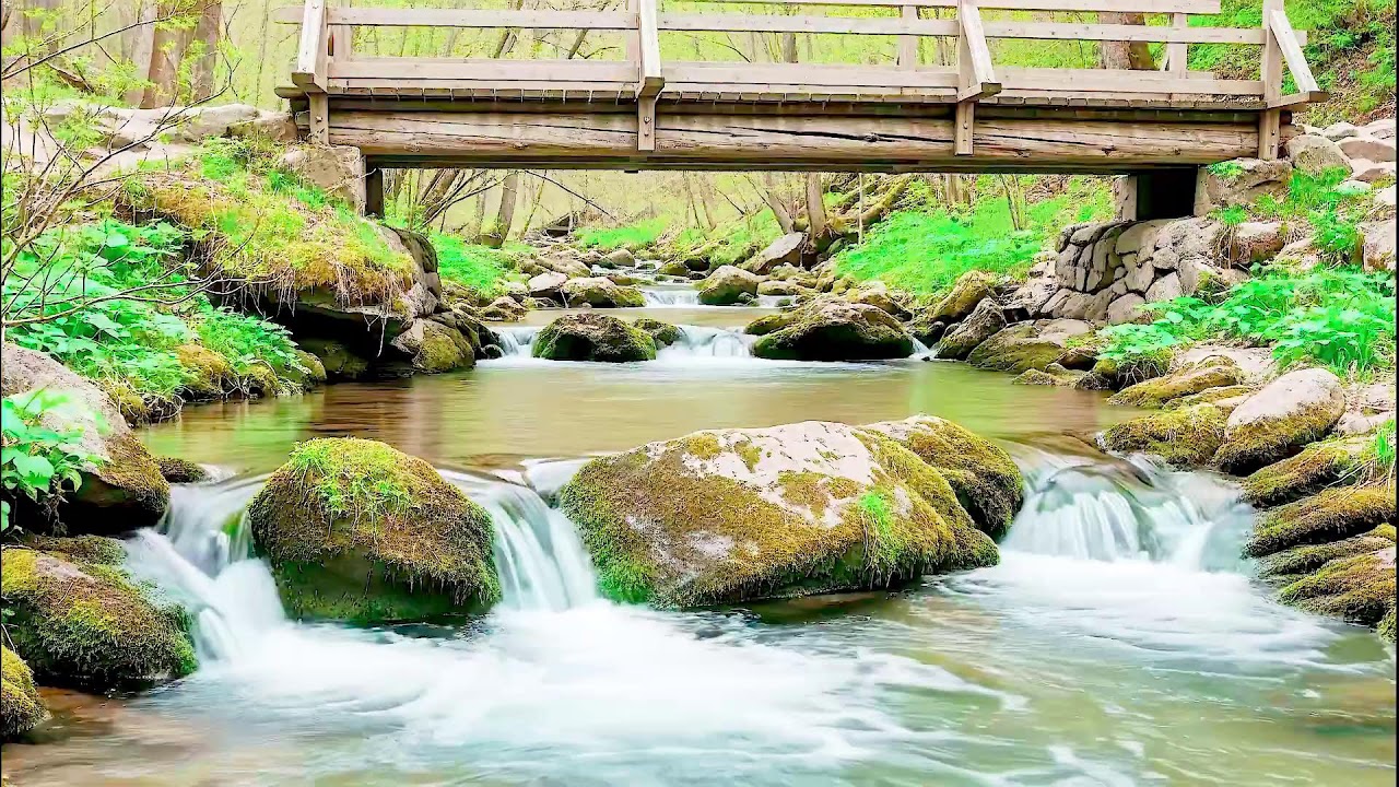 Gentle River Sound for Deep Sleep | Soothing Audio Therapy for Mental Wellness