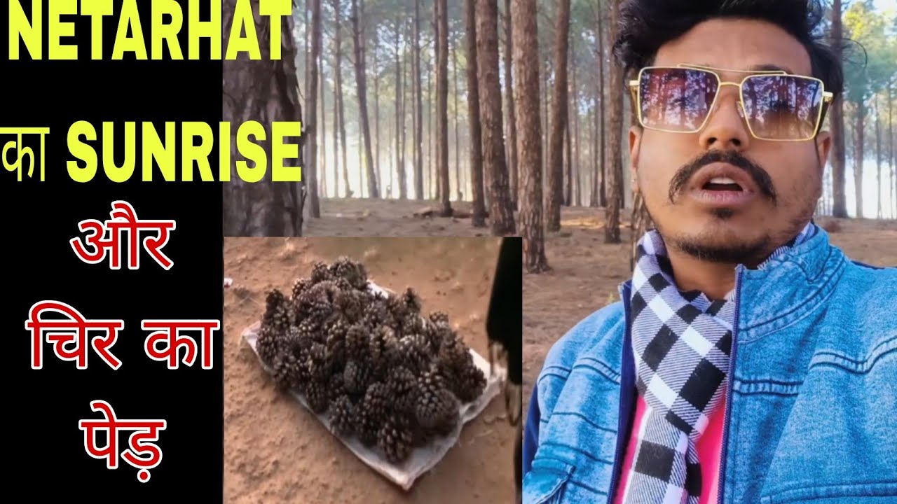 NETARHAT का SUNRISE 🌄  और चिर का पेड़ |  Netarhat Jharkhand |Episode-2