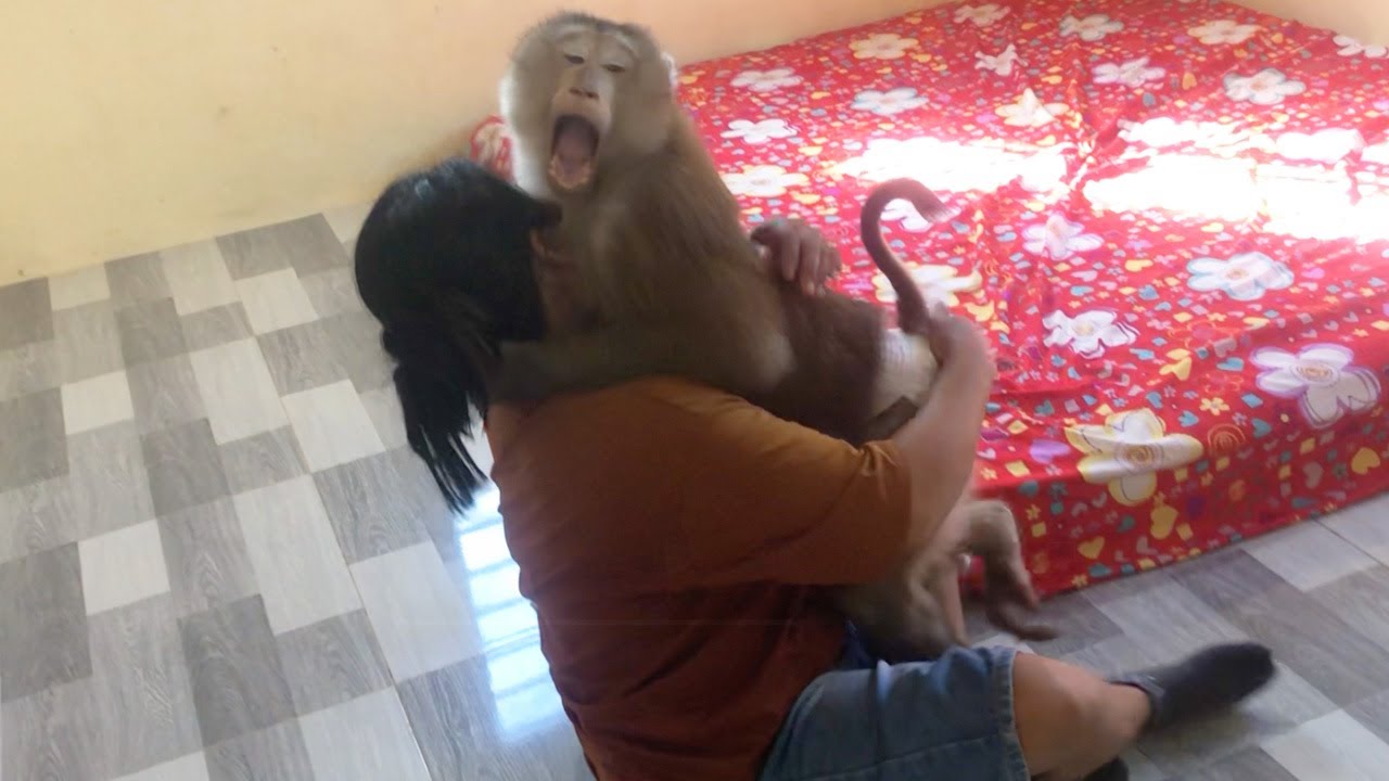 Jason Hugged Tight To Provoke When Mom Puff On His Hand