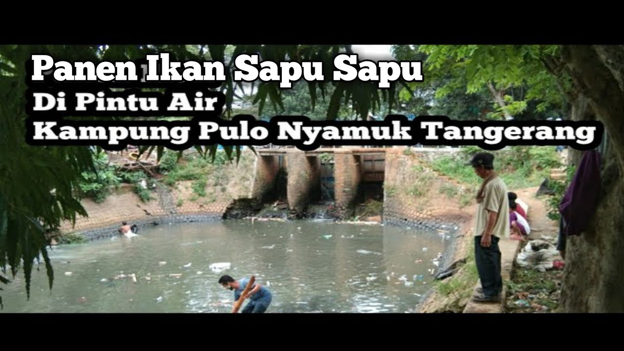 Menjaring ikan Sapu Sapu di Pintu Air kampung Pulo Nyamuk Tangerang