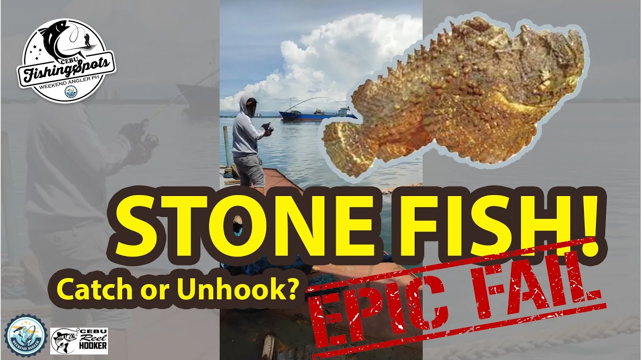 Stone fish catch or unhook? | Cebu Fishing Spot