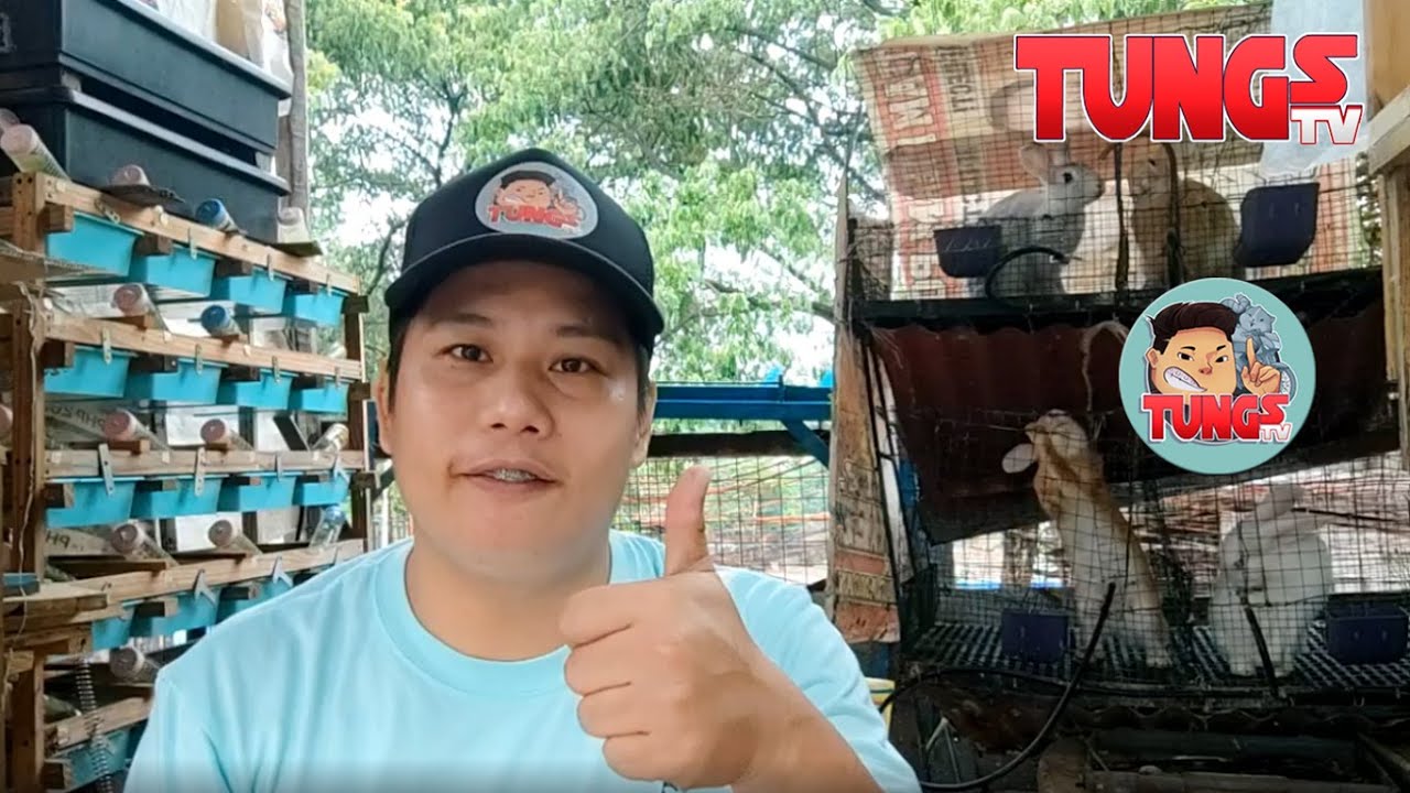 Superworm Substrate/Beddings Guide TUNGS TV ep41
