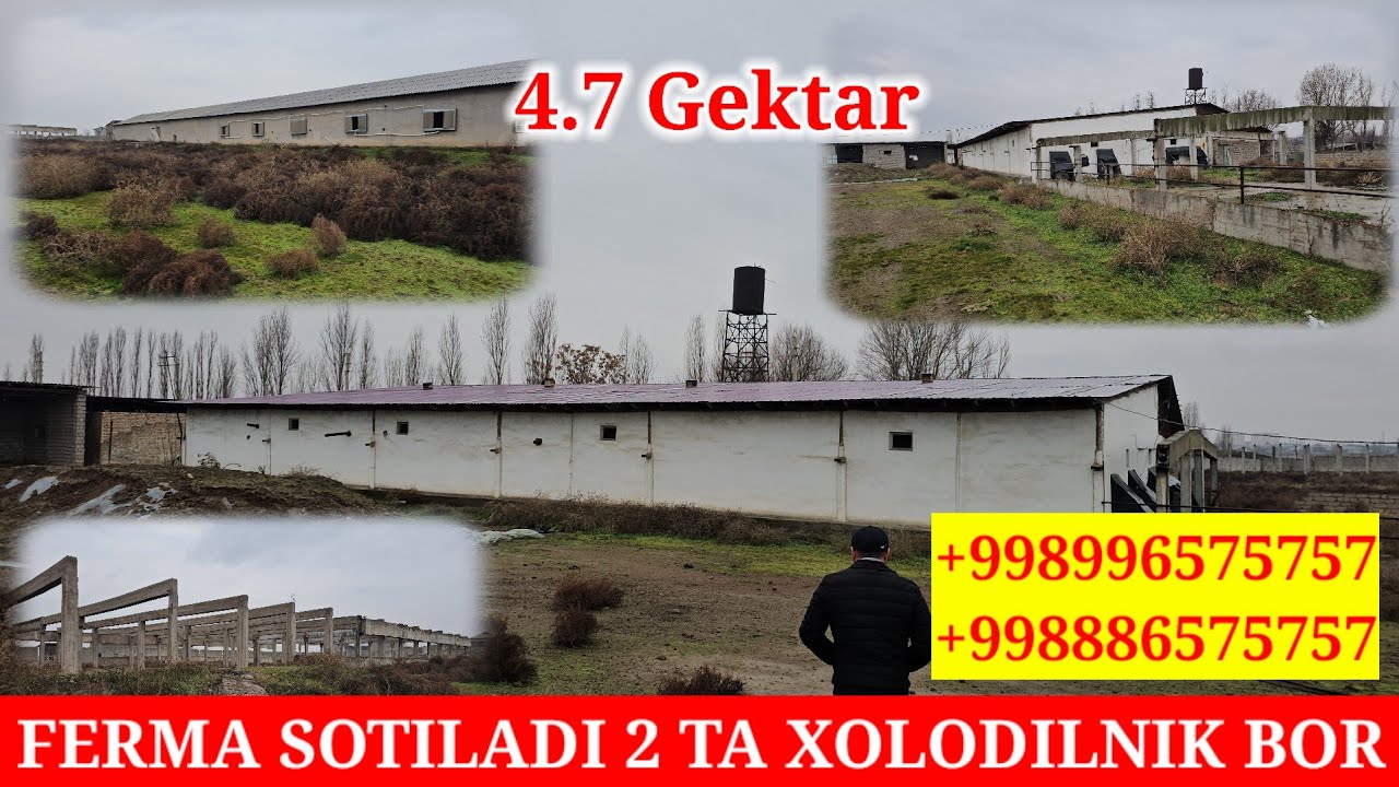 FERMA SOTILADI MAYDONI 4.7 GEKTAR SUV SEVET BOR. UY DOM KATEJ QURSA BO‘LADI ☎️996575757 N 1.000.000$