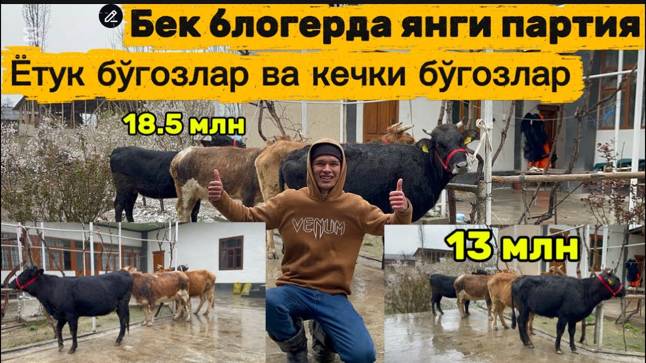 13 Млндан бошлаб бўгоз Хунажинлар Сув текин боп кетти ‼️
