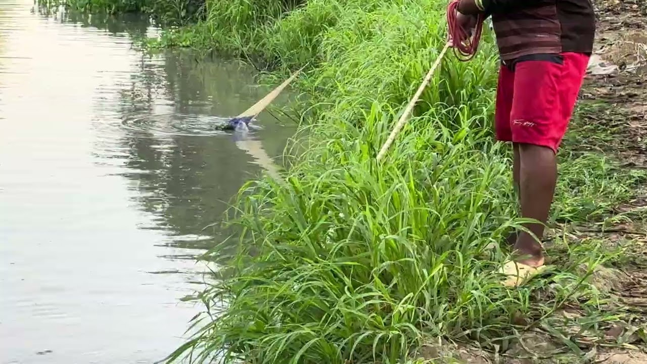 Horas de pesca en el río 