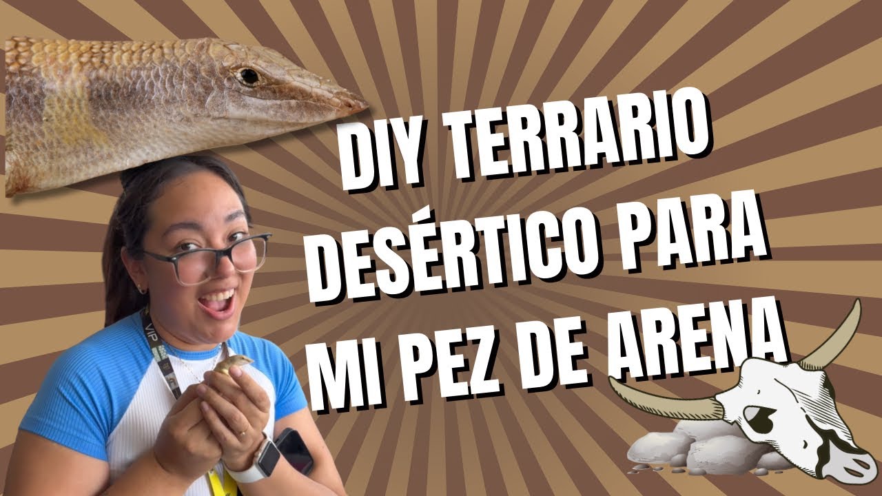 SKINK PEZ DE ARENA⁉️🤨 | CUIDADOS BÁSICOS 🦎 y DIY Terrario DESÉRTICO en un tupper 🤯