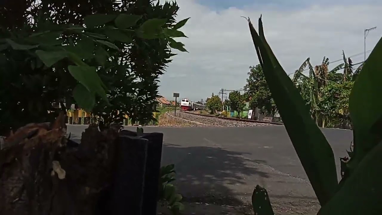 Double Traksi Sri Tanjung JPL 2 Probolinggo