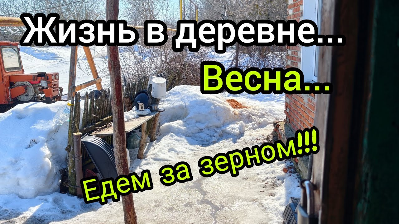 Как живут в русской деревне/Дотянули! Чуть не оставили голодными коров) Поездка в город за зерном.