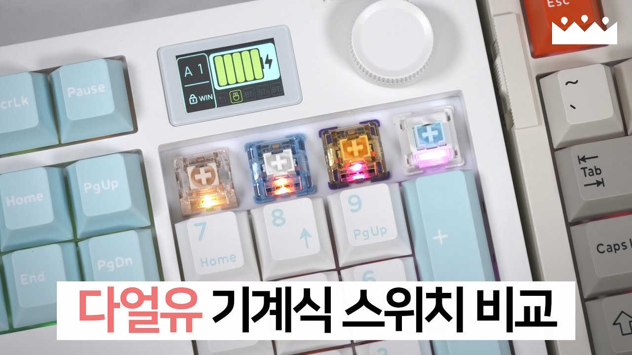 다얼유 스위치 4종 상세 비교! 😋 A104 Pro 무선 기계식 키보드 리뷰