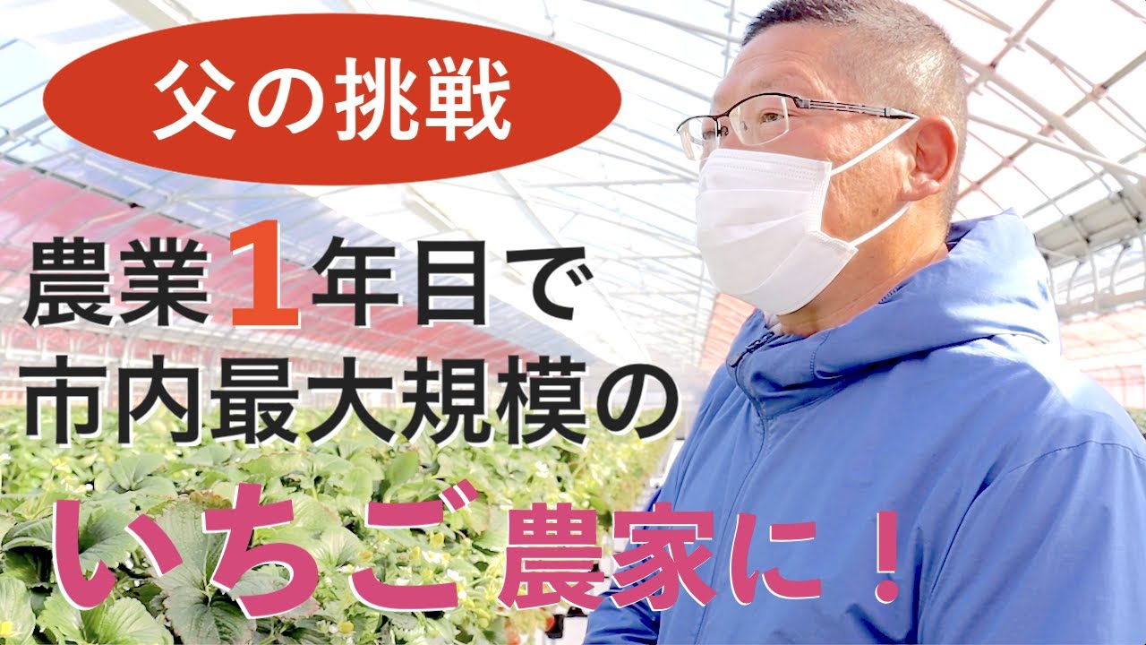 教師を定年退職していちご農家になりました【なべさんのいちごや】