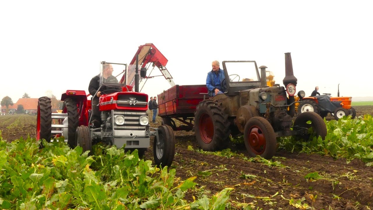 Oldtimer bieten rooien in Harpel met Stoll-Kleine-Schmotzer-Climax-Fiat-Ford-Zetor-LanzBulldog