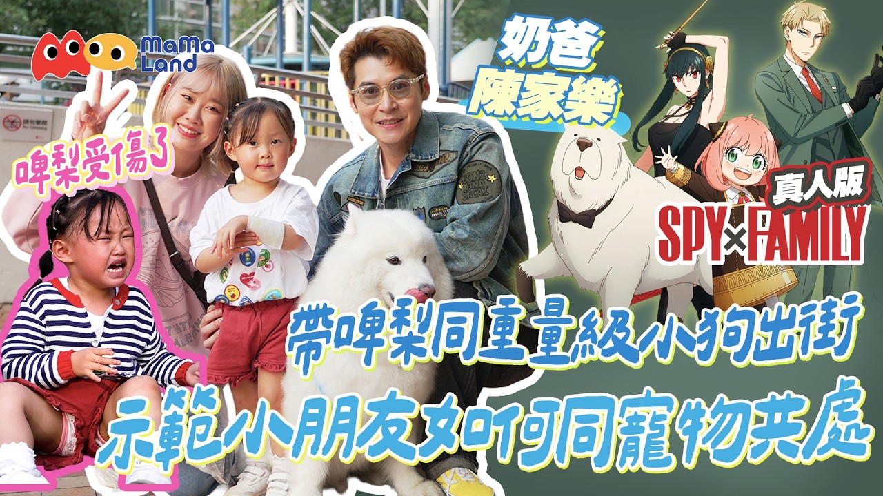 (真人版SPY FAMILY) 奶爸陳家樂登場！挑戰帶啤梨同重量級小狗出街｜示範小朋友如何與寵物共處 ｜啤梨受傷爆喊點收科？｜《Mamaland》第10集