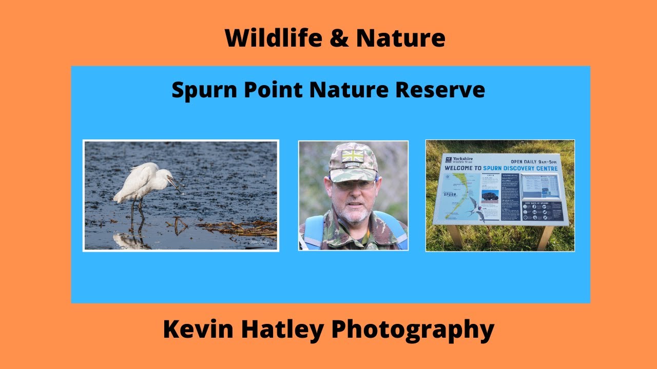 Spurn Point NR 2020