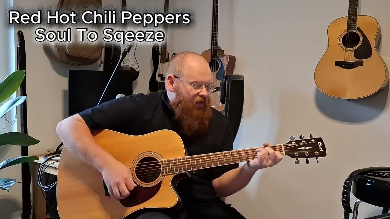 Soul To Squeeze - Cover
