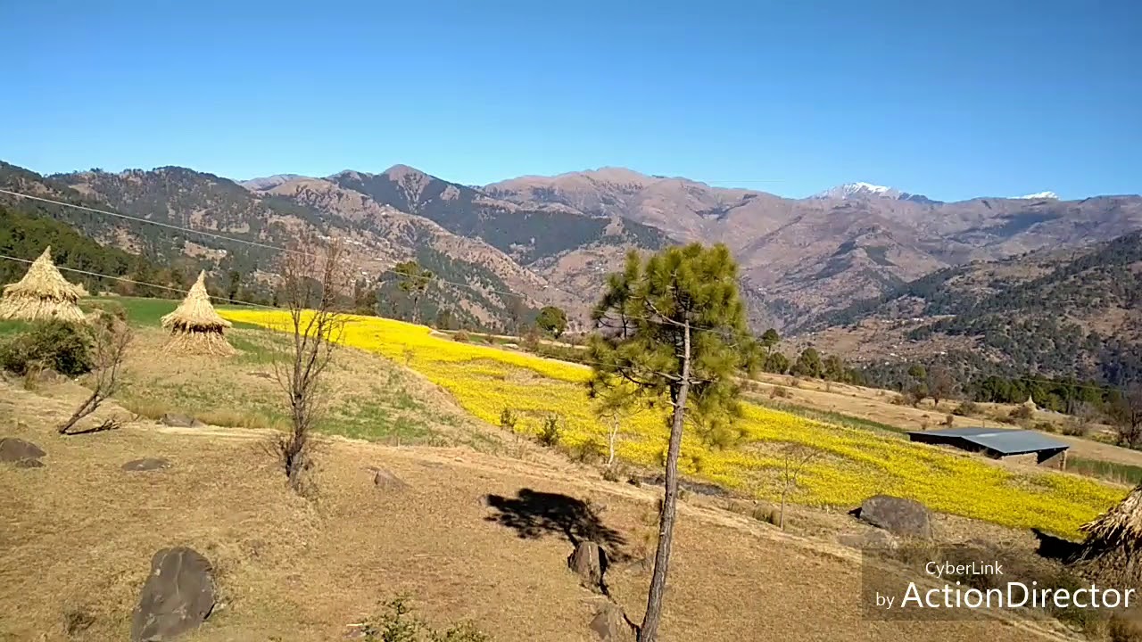 most beautiful view natural beauty at ramnagar (zoffer)