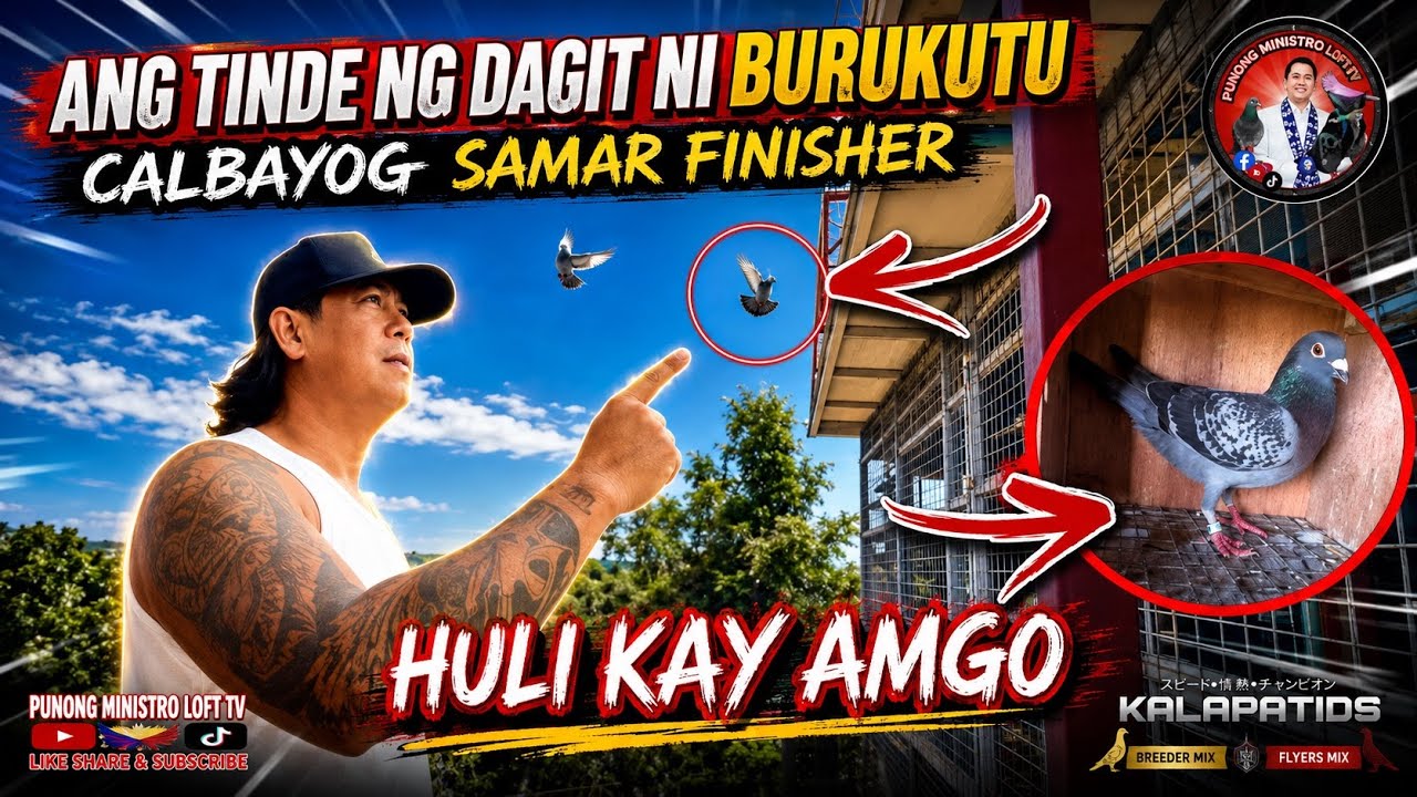 EP1259 BURUKUTU DUMAGIT NG CALBAYOG FINISHER SI PILAY!