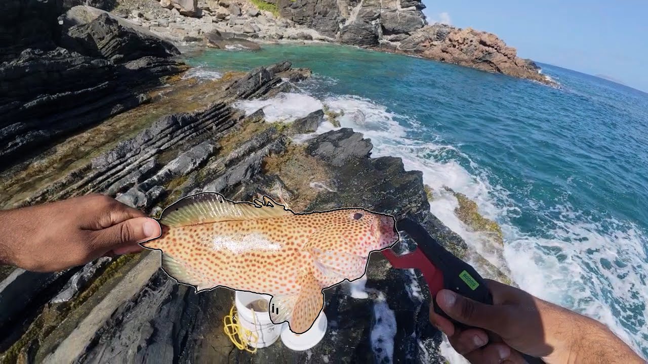 Hooked to Cooked Ep 1 | New Spot + Fresh Bait= Graysby & First Red Hind