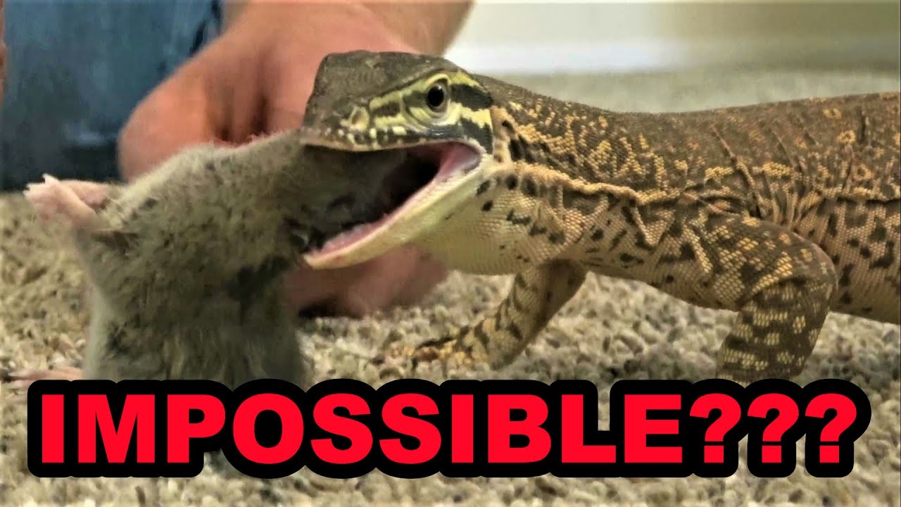 They Said It Was Impossible!