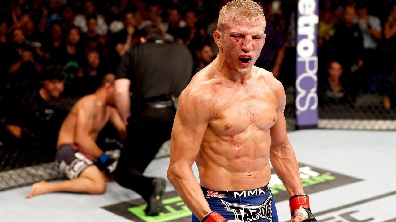 Tj Dillashaw HIGHLIGHTS