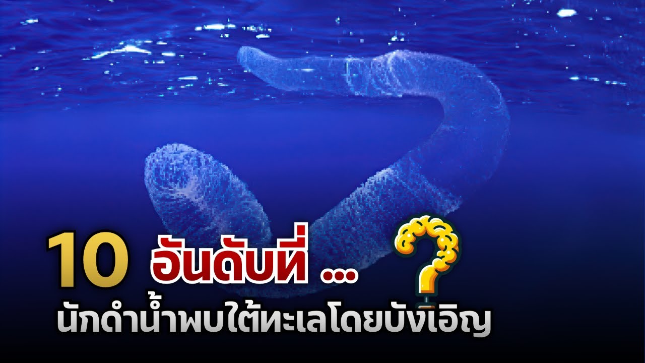 10 อันดับที่นักดำน้ำพบใต้ทะเลโดยบังเอิญ