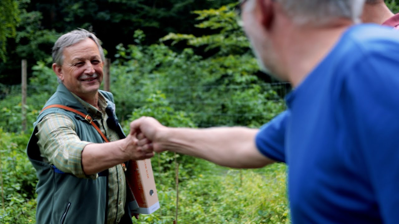 Auf dem Weg zum Zukunftswald oder: Schadfläche! Was nun? Ein Motivationsfilm