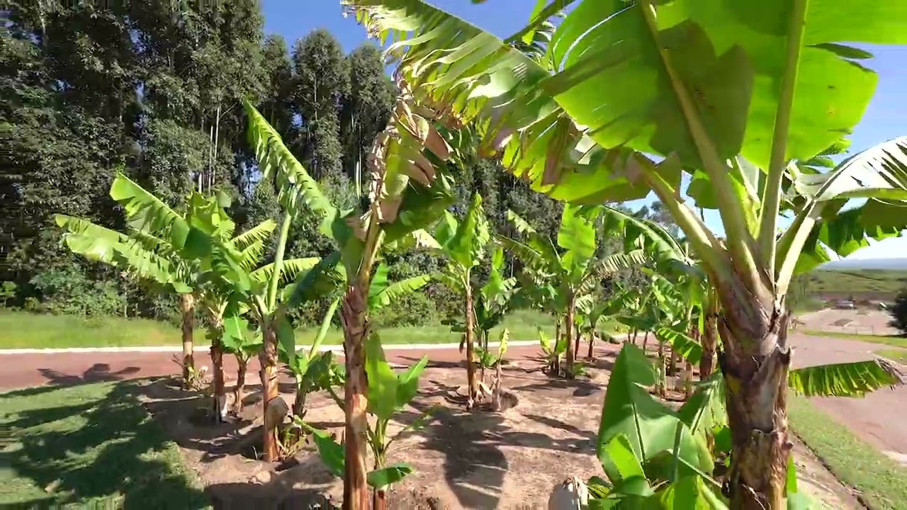 Elaleni Gardens
