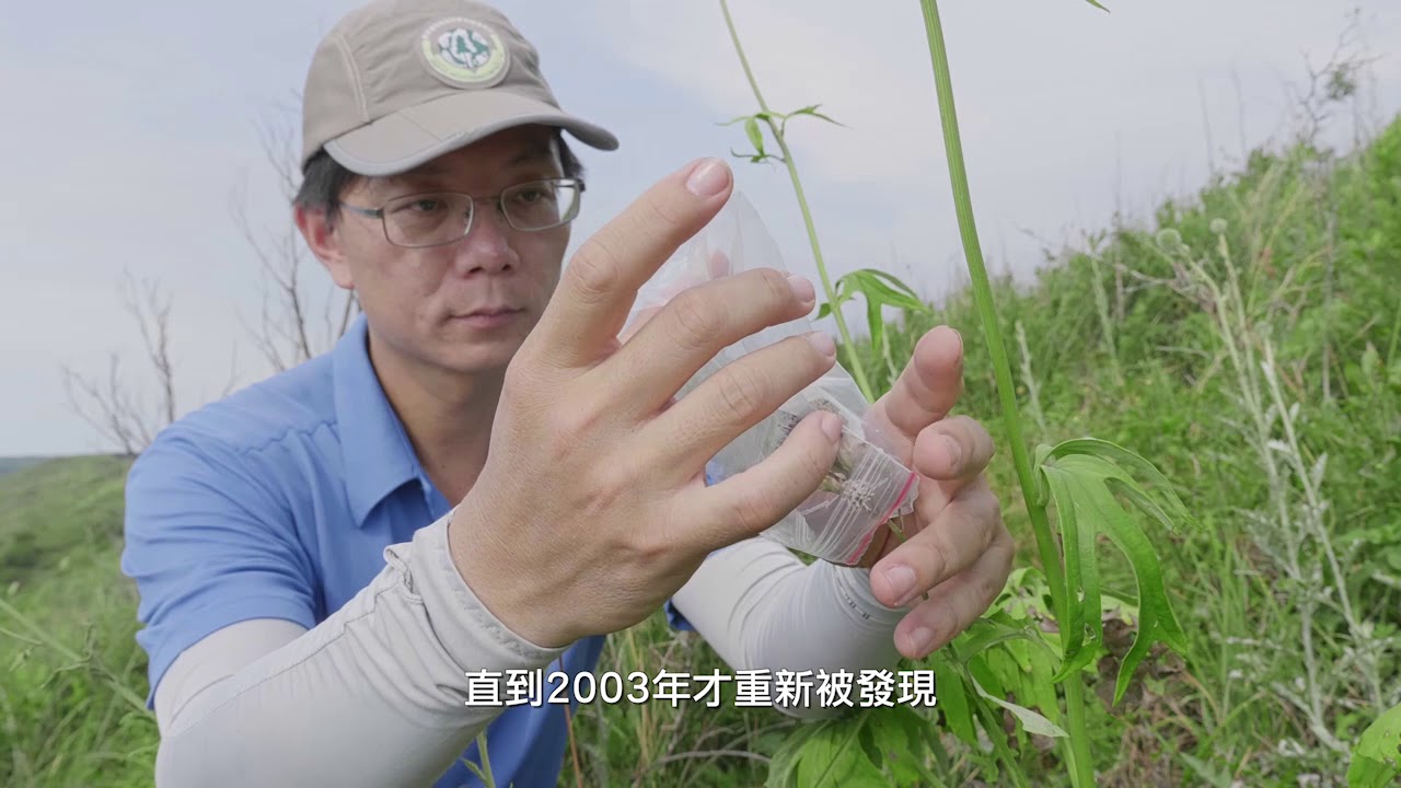 絕處逢生 讓瀕絕植物回家 台語版